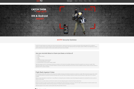Security System Website Design