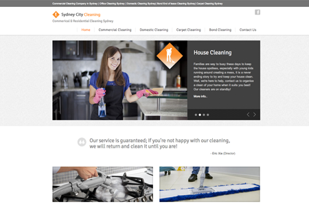 Cleaners Website Design